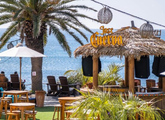 Summer_party_2033 Summer_party_2033